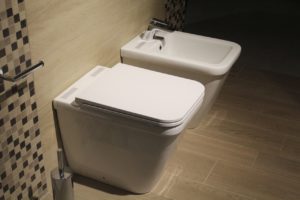 a bidet installed in a San Antonio bathroom next to a sink