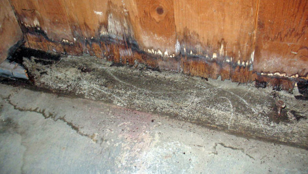 property damage to the walls and the floor after a slab leak