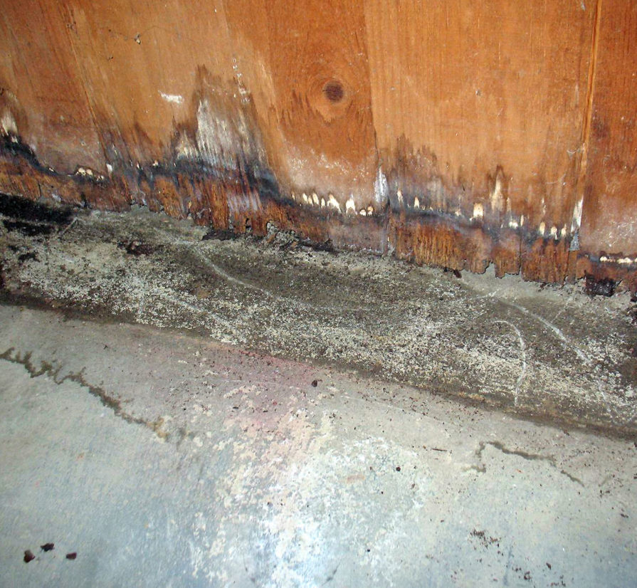 property damage to the walls and the floor after a slab leak