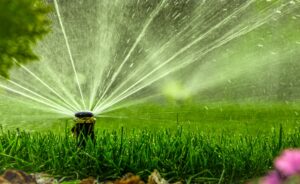 a home sprinkler system spraying water into a green yard