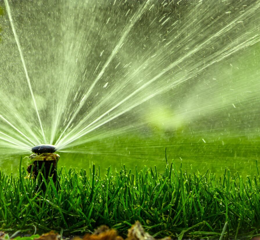 a home sprinkler system spraying water into a green yard