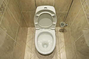 an open toilet in a San Antonio bathroom