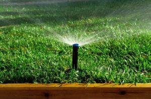 an automatic sprinkler watering the grass of a San Antonio yard