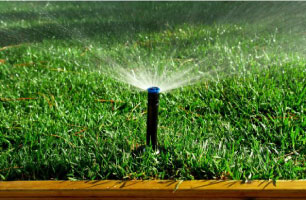 an automatic sprinkler watering the grass of a San Antonio yard