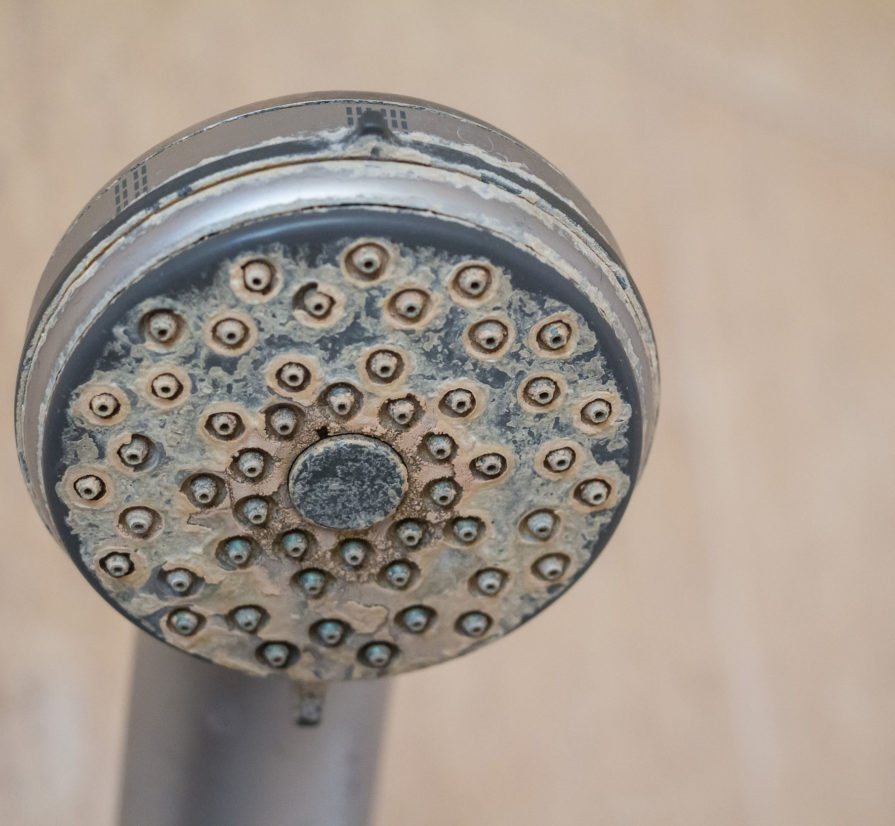 Hard water gathered on the showerhead in a residential bathroom