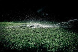 hard water splashing on a lawn during the night