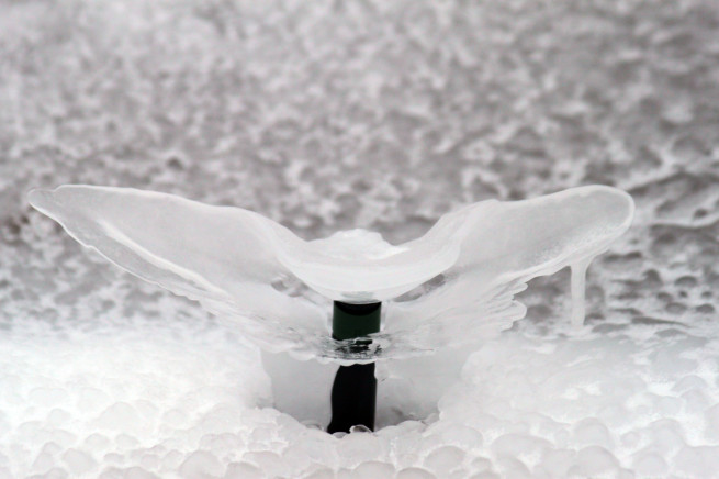 water from a sprinkler system that has frozen over
