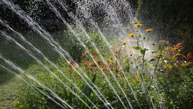 sprinkler shooting water into the air and watering a lawn