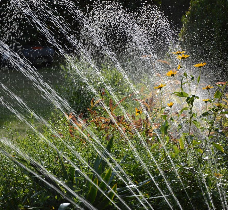 sprinkler shooting water into the air and watering a lawn