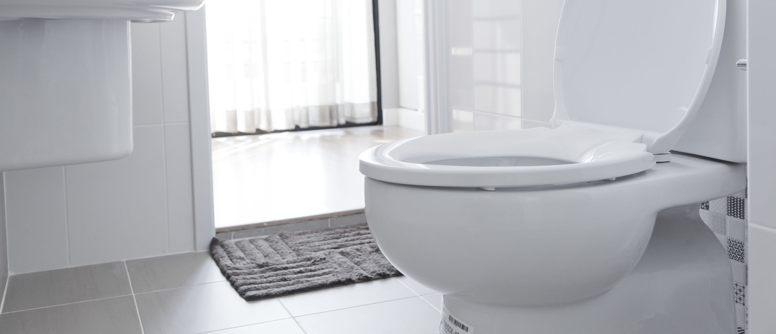 Clogged Toilet Repair in San Antonio, TX, by Will Fix It