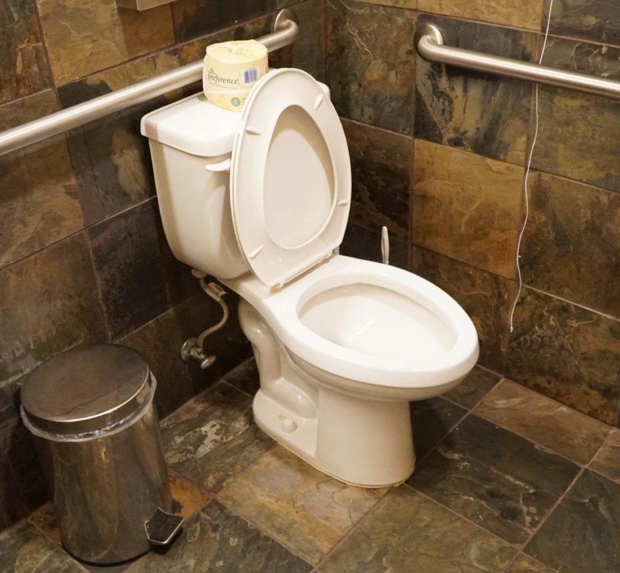 an open toilet in a San Antonio bathroom