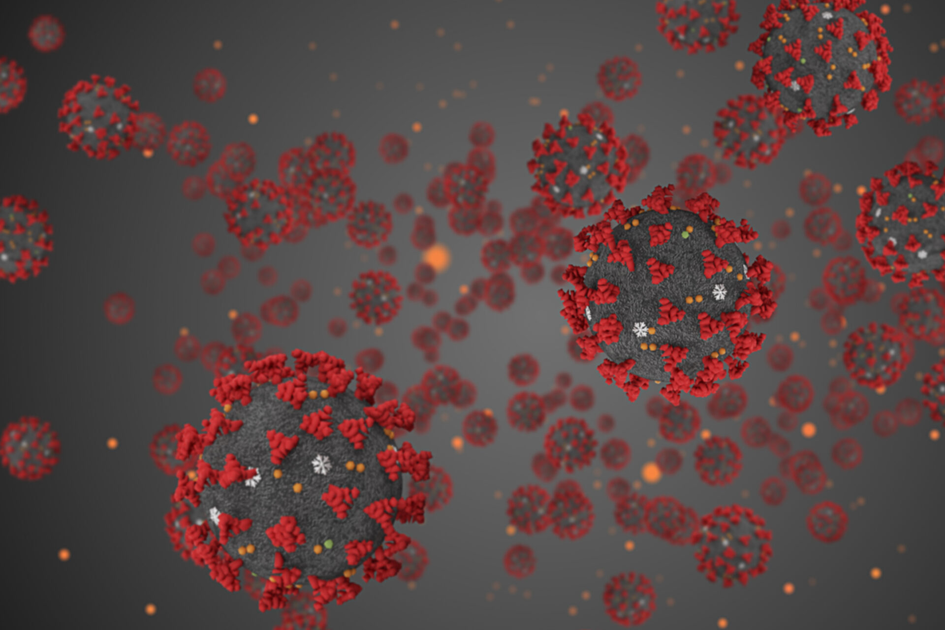 image of the coronavirus