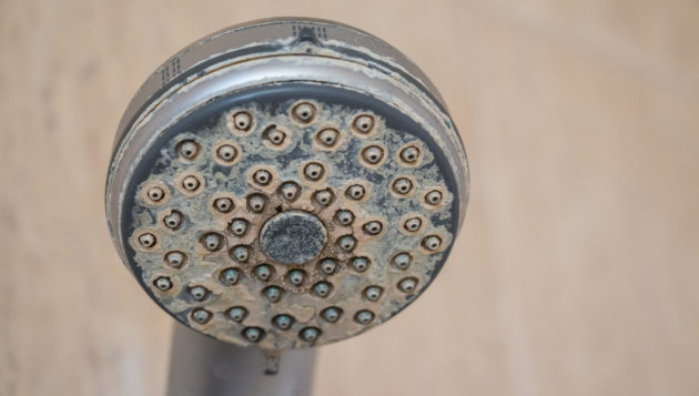 hard water stained shower head