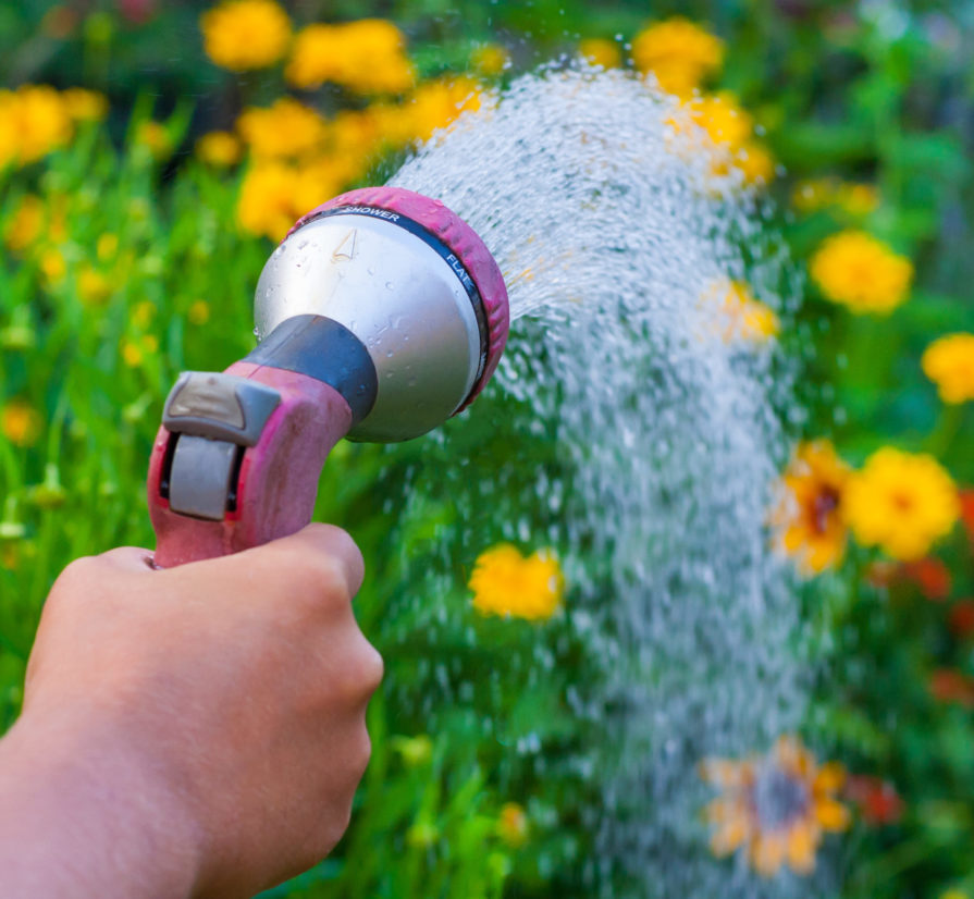hand using a hose to water flowers in a yard