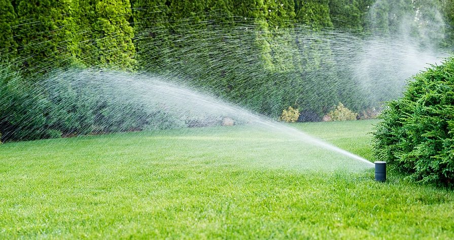 Sprinklers watering a large yard with green grass
