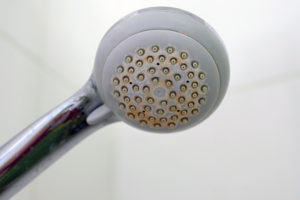 hard water stains on a San Antonio showerhead