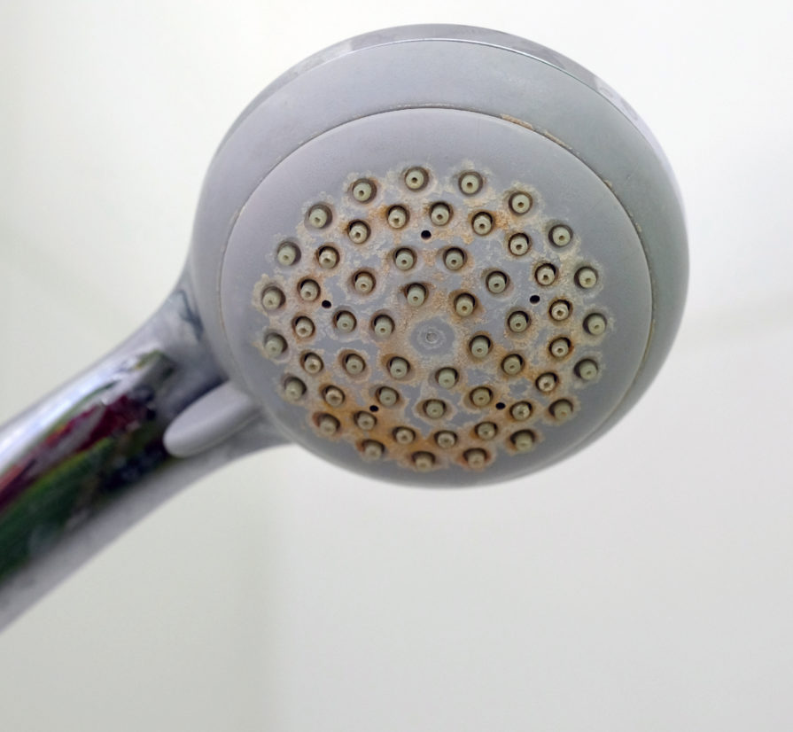 hard water stains on a San Antonio showerhead