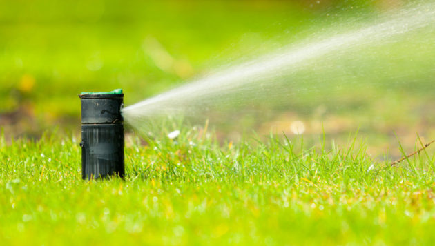 sprinkler system watering green grass