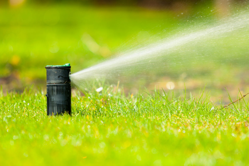 sprinkler system watering green grass