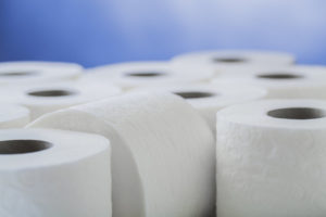 rolls of toilet paper side by side