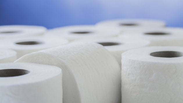 rolls of toilet paper side by side