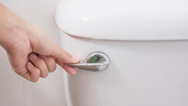 flushable items, non-flushable items, clogged toilet, plumbing services, plumbing tips