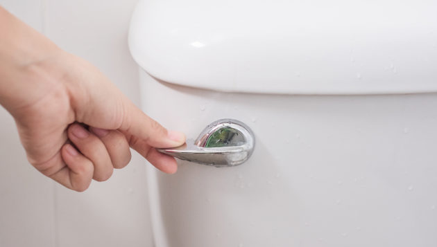 a hand on the handle of a toilet to flush it