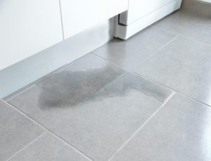 standing water on the floor of a home from a leak