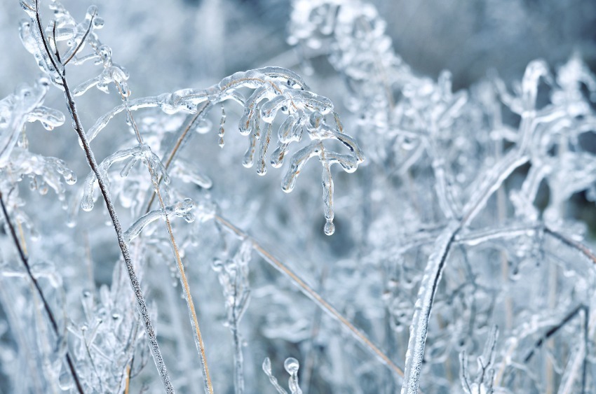 ice in a winter storm